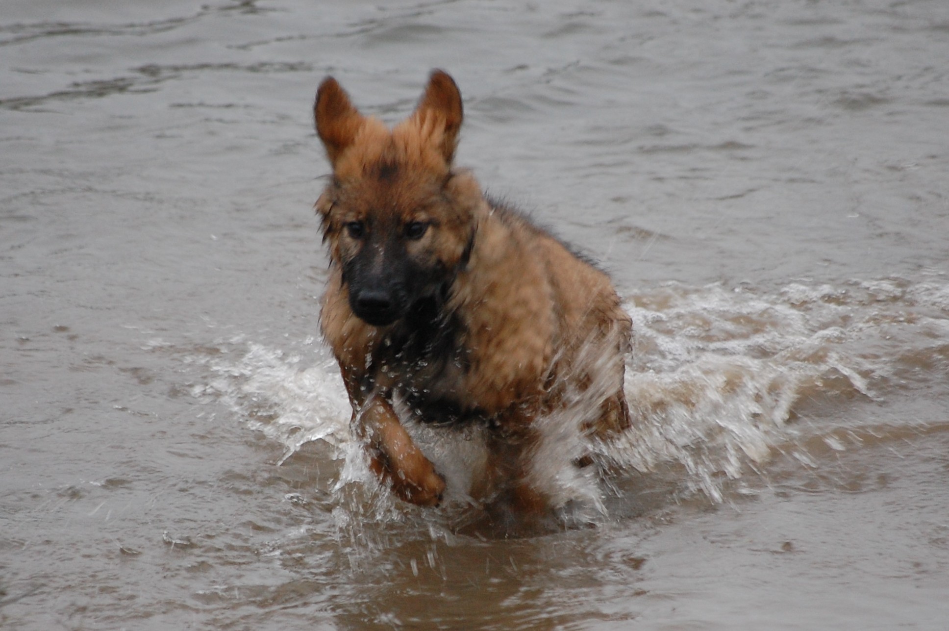 Fotos/afscheid/Azra/waterrat.jpg1.jpg