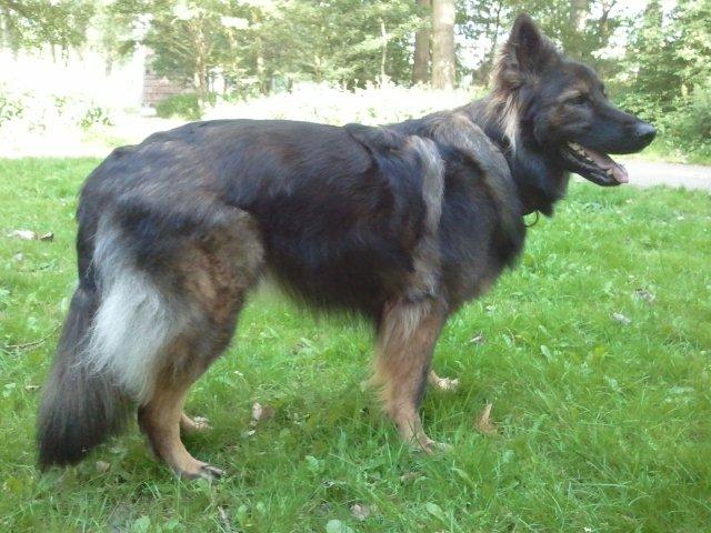 Fotos/Ascha2011/2011-07-04 09.48.15.jpg