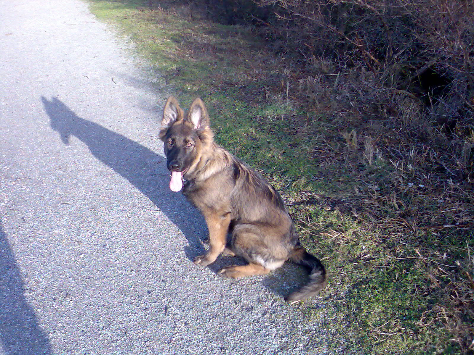 Fotos/afscheid/ascha/Nicky en Kerst 2008 029.jpg