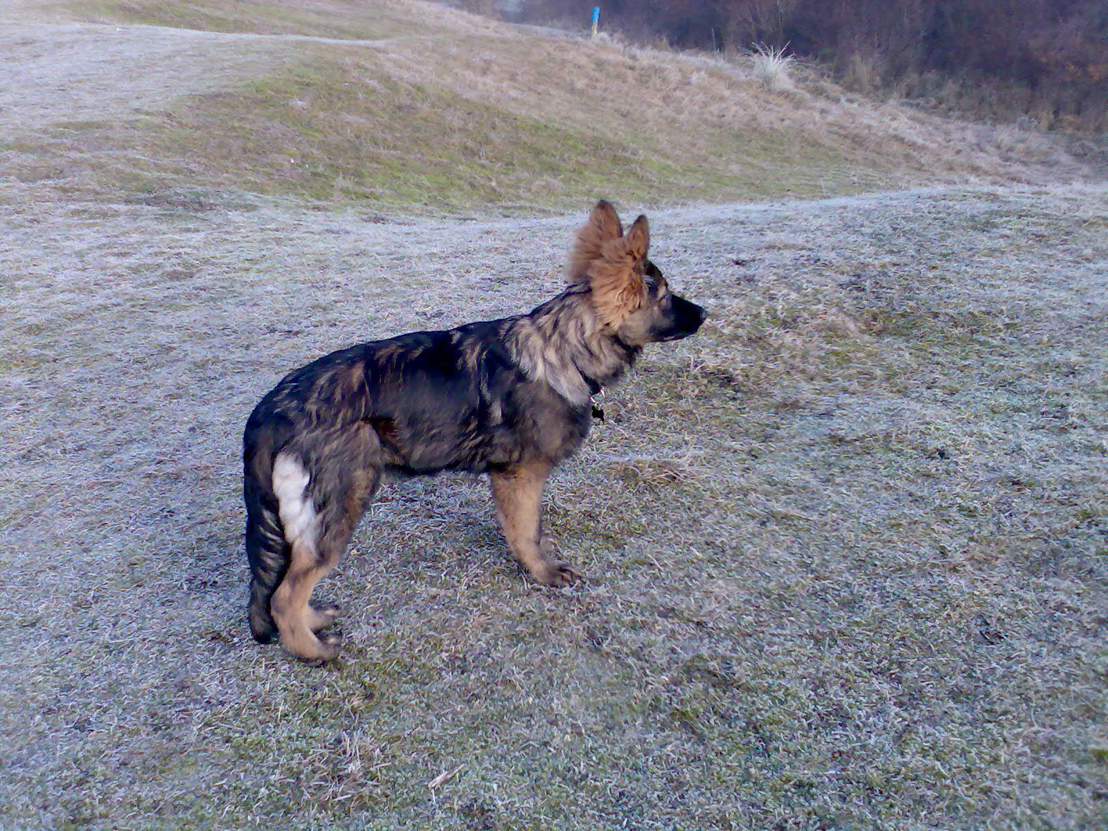 Fotos/afscheid/ascha/13022009/allerlei 2009 004.jpg