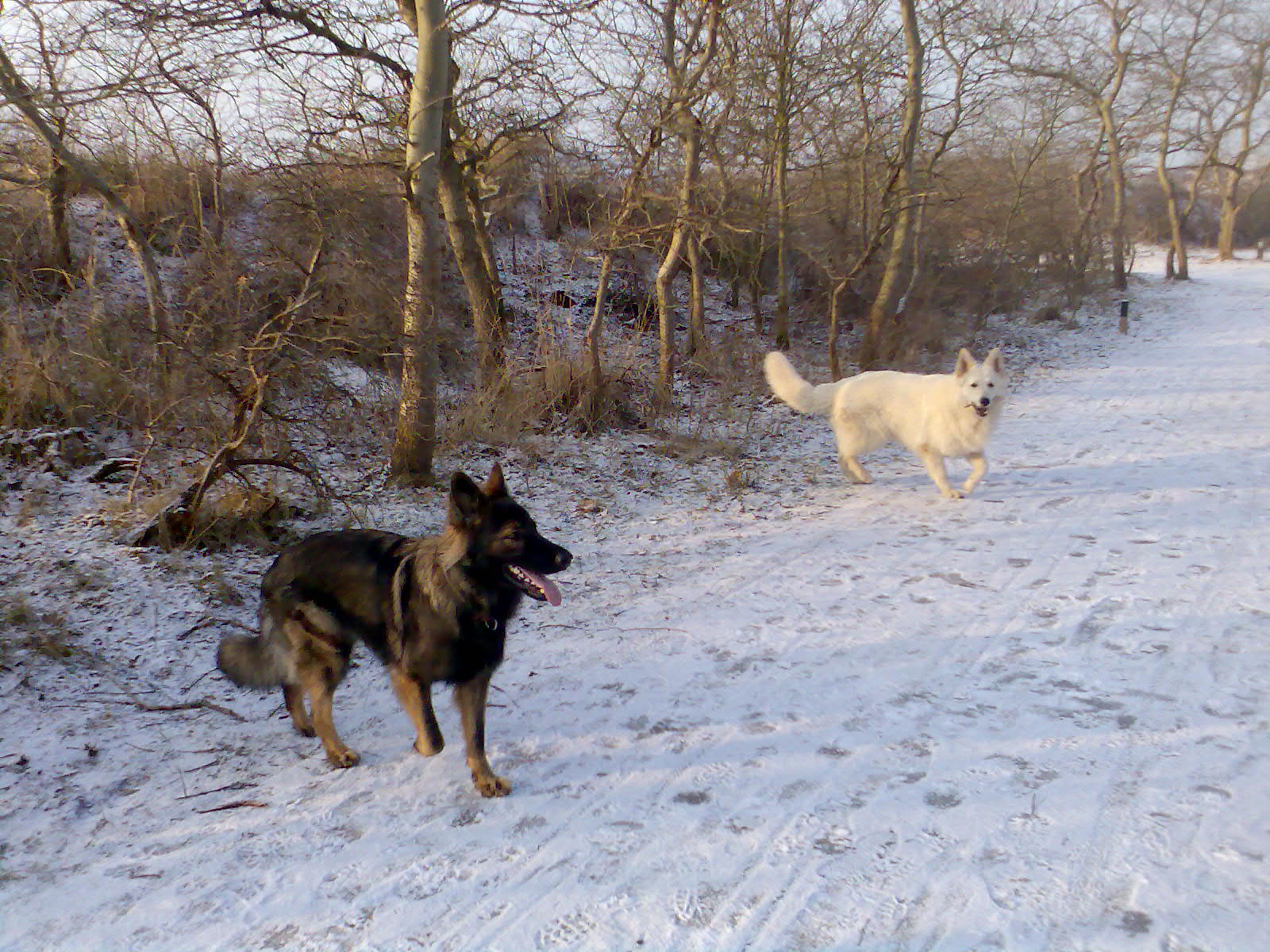 Fotos/Ascha2009/2010/jan 2010 040.jpg