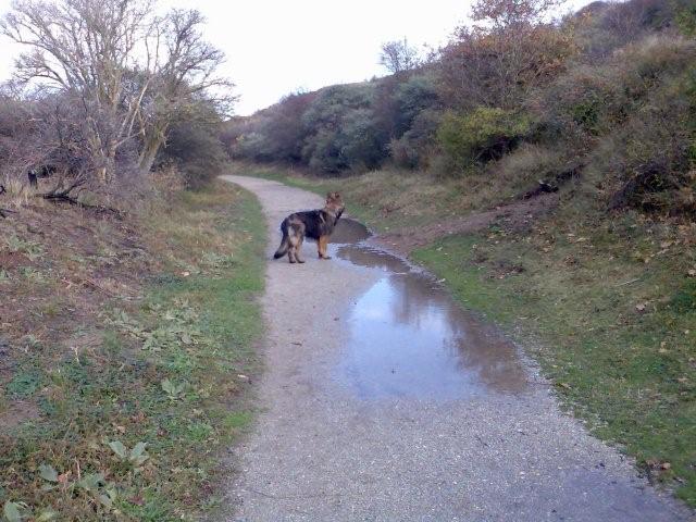Fotos/Ascha2009/november 2009 034.jpg