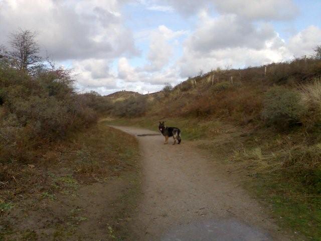 Fotos/Ascha2009/november 2009 036.jpg