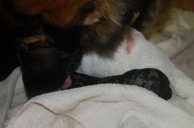 Fotos/nest2009/geboorte/5heel blij.jpg