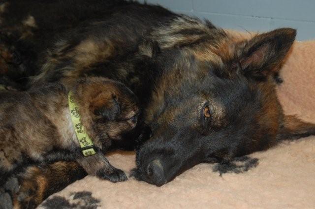 Fotos/nest2009/week3/6 (2).jpg