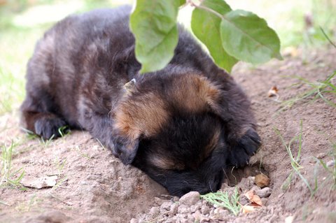 Fotos/nest2009/week4/DSC Anouk van der Zee (20).JPG