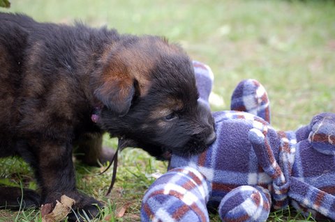 Fotos/nest2009/week4/DSC Anouk van der Zee (26).JPG