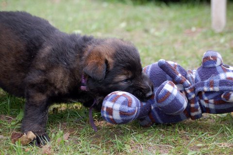 Fotos/nest2009/week4/DSC Anouk van der Zee (27).JPG