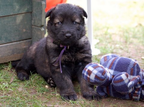 Fotos/nest2009/week4/DSC Anouk van der Zee (35).JPG