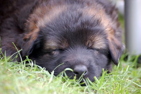 Fotos/nest2009/week4/DSC Anouk van der Zee (38).JPG