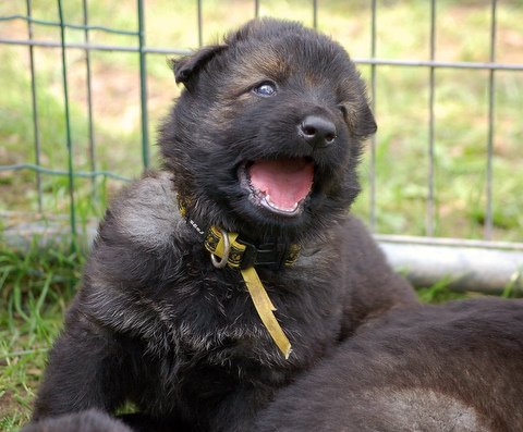 Fotos/nest2009/week4/DSC Anouk van der Zee (39).JPG