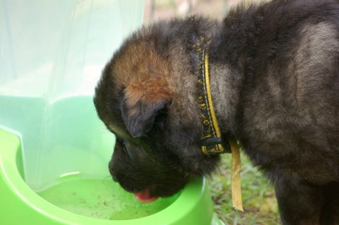 Fotos/nest2009/week4/DSC Anouk van der Zee (43).JPG