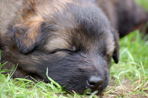 Fotos/nest2009/week4/DSC Anouk van der Zee (45).JPG