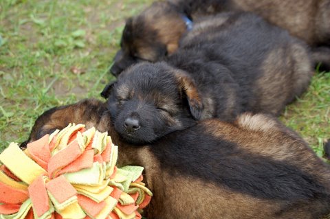 Fotos/nest2009/week4/DSC Anouk van der Zee (51).JPG