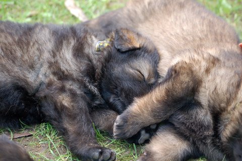 Fotos/nest2009/week4/DSC Anouk van der Zee (53).JPG