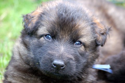 Fotos/nest2009/week4/DSC Anouk van der Zee (57).JPG