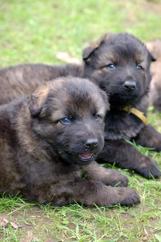 Fotos/nest2009/week4/DSC Anouk van der Zee (65).JPG