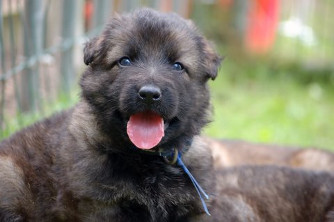 Fotos/nest2009/week4/DSC Anouk van der Zee (67).JPG