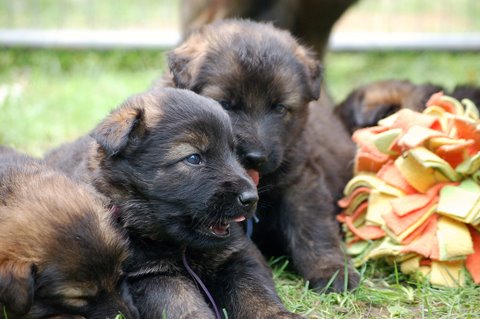 Fotos/nest2009/week4/DSC Anouk van der Zee (77).JPG