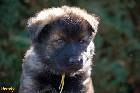 Fotos/2009week5/DSC_ geel Anouk van der Zee.JPG