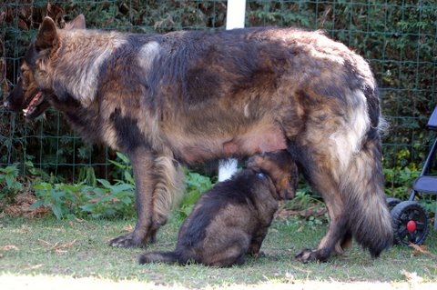 Fotos/2009week5/DSC_Anouk van der Zee (108).JPG