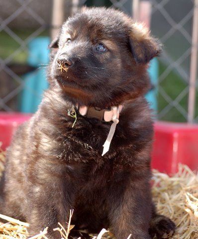 Fotos/2009week5/DSC_Anouk van der Zee (111).JPG