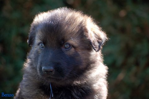 Fotos/2009week5/DSC_Anouk van der Zee (121).JPG