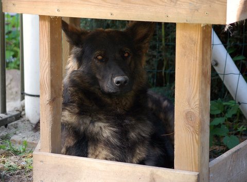 Fotos/2009week5/DSC_Anouk van der Zee (135).JPG