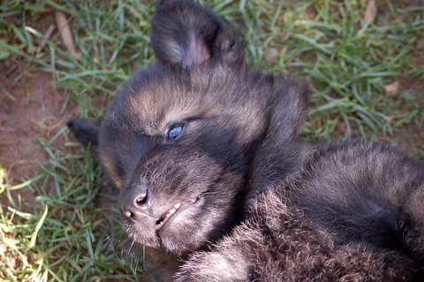 Fotos/2009week5/DSC_Anouk van der Zee (17).JPG