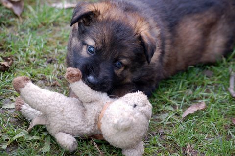 Fotos/2009week5/DSC_Anouk van der Zee (27).JPG