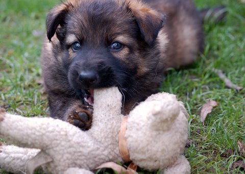 Fotos/2009week5/DSC_Anouk van der Zee (29).JPG