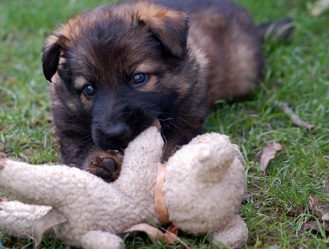 Fotos/2009week5/DSC_Anouk van der Zee (30).JPG