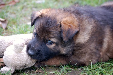 Fotos/2009week5/DSC_Anouk van der Zee (33).JPG