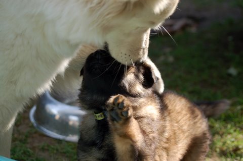 Fotos/2009week5/DSC_Anouk van der Zee (36).JPG