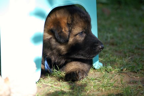 Fotos/2009week5/DSC_Anouk van der Zee (40).JPG