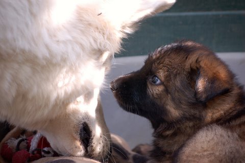 Fotos/2009week5/DSC_Anouk van der Zee (45).JPG