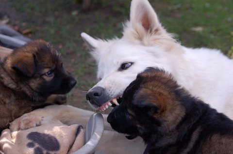 Fotos/2009week5/DSC_Anouk van der Zee (48).JPG