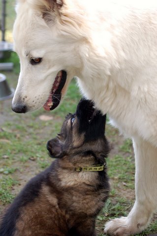 Fotos/2009week5/DSC_Anouk van der Zee (5).JPG