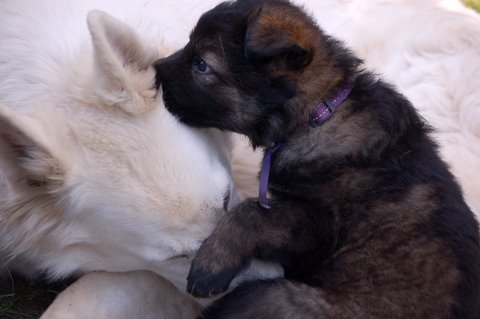 Fotos/2009week5/DSC_Anouk van der Zee (54).JPG