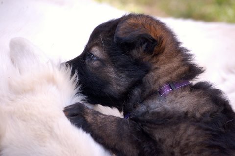 Fotos/2009week5/DSC_Anouk van der Zee (55).JPG