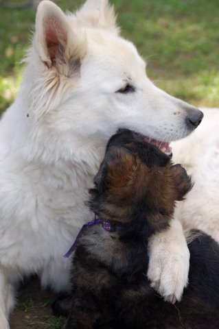 Fotos/2009week5/DSC_Anouk van der Zee (57).JPG