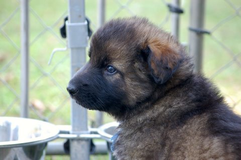 Fotos/2009week5/DSC_Anouk van der Zee (6).JPG