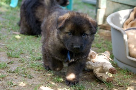 Fotos/2009week5/DSC_Anouk van der Zee (77).JPG