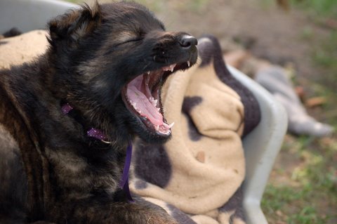 Fotos/2009week5/DSC_Anouk van der Zee (81).JPG