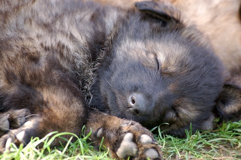 Fotos/2009week5/DSC_Anouk van der Zee (91).JPG