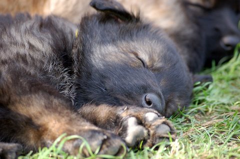 Fotos/2009week5/DSC_Anouk van der Zee (97).JPG