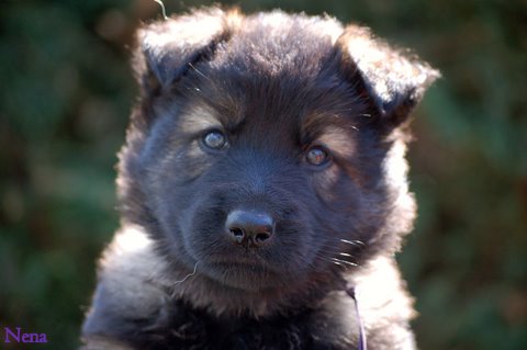 Fotos/2009week5/DSC_Paars Anouk van der Zee.JPG