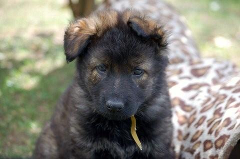 Fotos/2009week5/week6/Anouk van der Zee (106).jpg