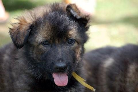 Fotos/2009week5/week6/Anouk van der Zee (124).jpg