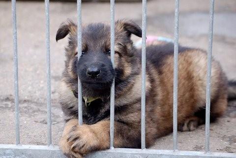 Fotos/2009week5/week6/Anouk van der Zee (20).jpg